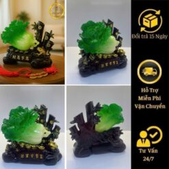 Bắp cải 006 nhỏ