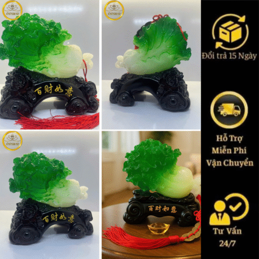 Bắp cải 581 nhỏ